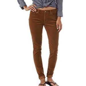 Patagonia fitted cords